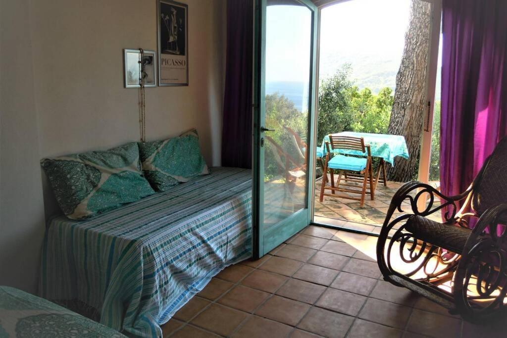 Mini Suite Ulivo Marciana Marina  Εξωτερικό φωτογραφία