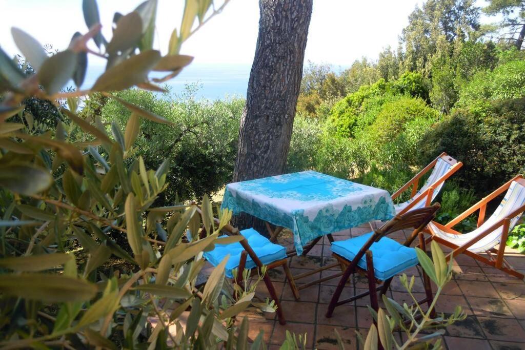 Mini Suite Ulivo Marciana Marina  Εξωτερικό φωτογραφία
